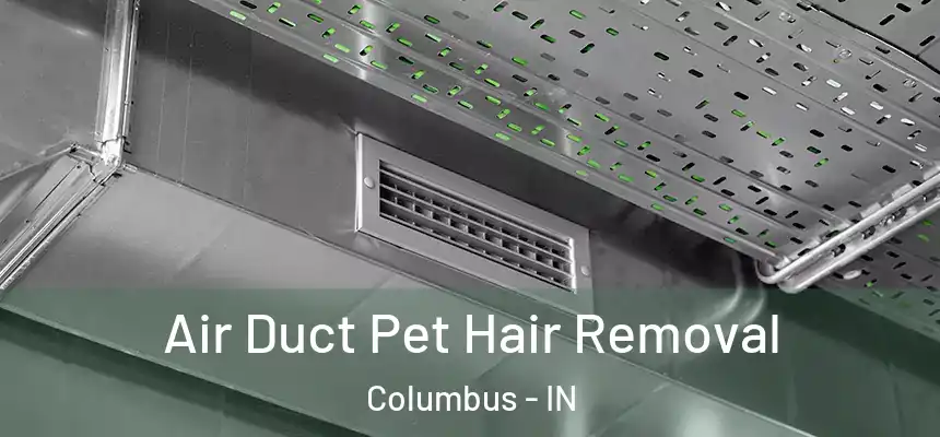  Air Duct Pet Hair Removal Columbus - IN