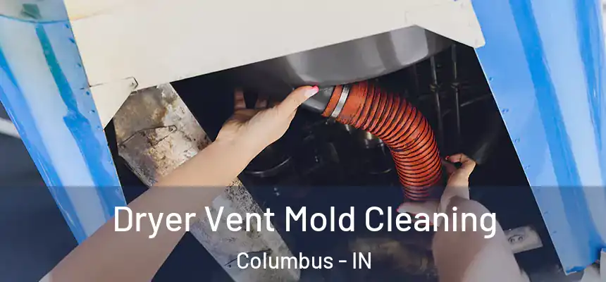  Dryer Vent Mold Cleaning Columbus - IN