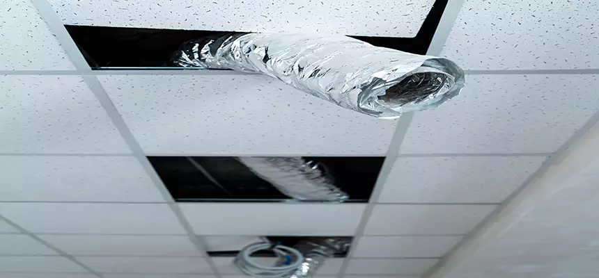 Affordable HVAC Sanitizing After Pest Removal in Columbus