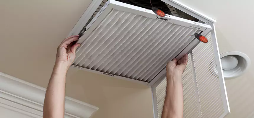 Our Insect Removal from Air Ducts Services in Columbus, IN