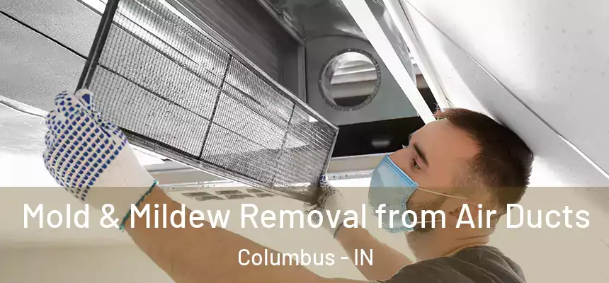  Mold & Mildew Removal from Air Ducts Columbus - IN