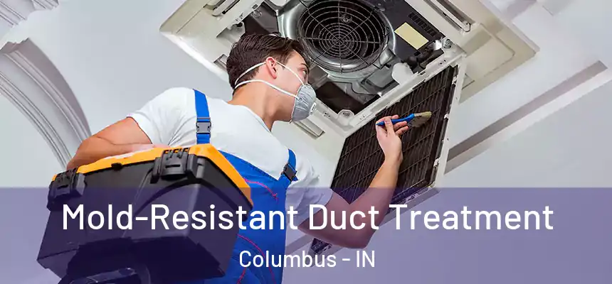  Mold-Resistant Duct Treatment Columbus - IN