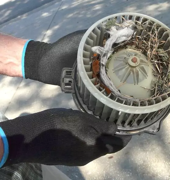 About Air Duct Mice Removal in Columbus, IN