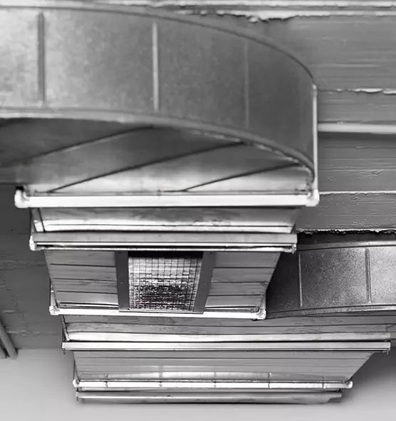 Professional Air Duct Pet Hair Removal in Columbus, IN