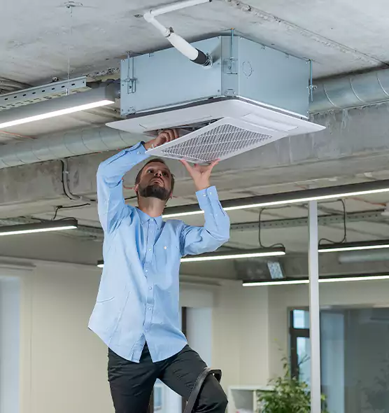 Advanced Rodent Droppings In Vents in Columbus, IN