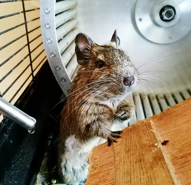 Why Homeowners & Businesses Trust Us Columbus, IN