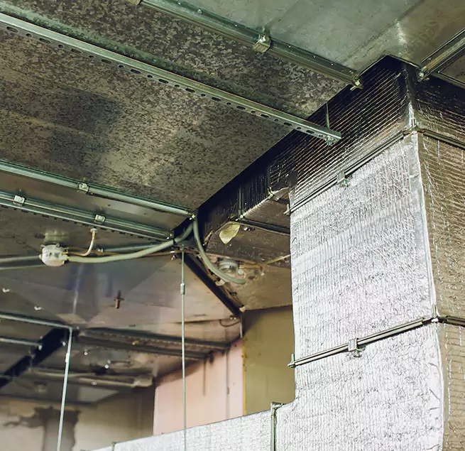 Why Homeowners & Businesses Trust Us in Columbus, IN?